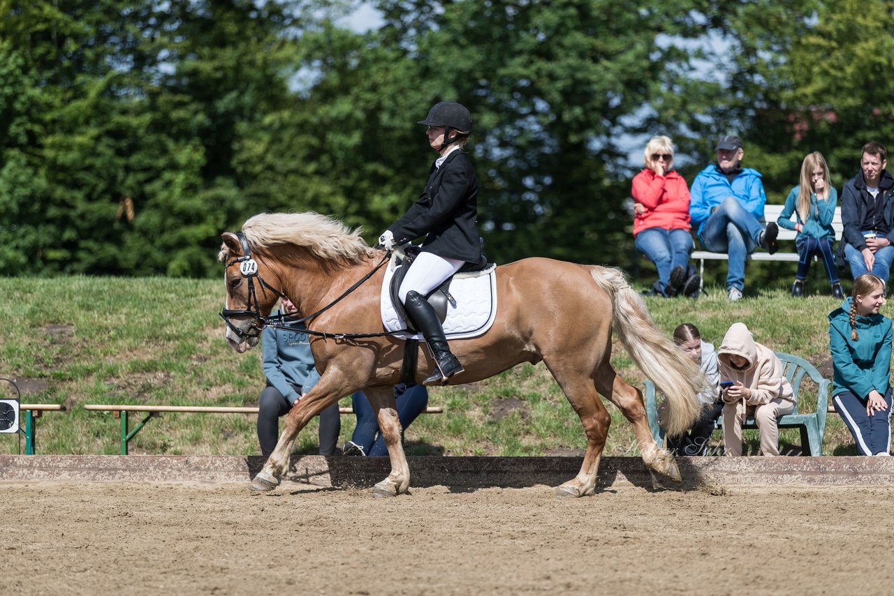 Bild 749 - Pony Akademie Turnier